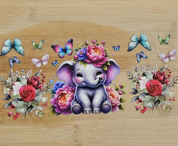 Elephant 885