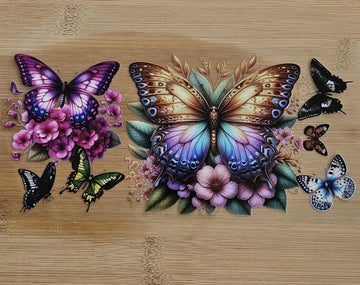 Colors & Butterflies 562