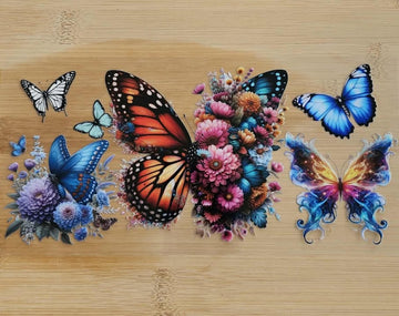 Butterfly & Flowers 561