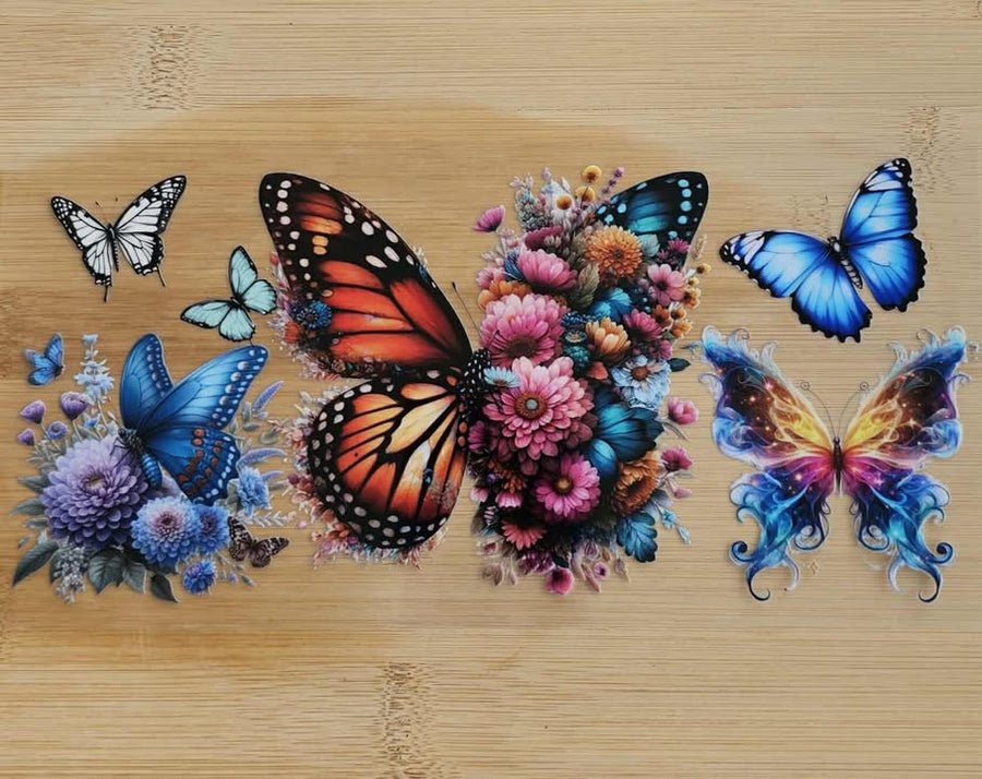 Butterfly & Flowers 561