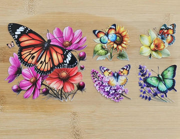 Multi-Colored Butterflies 547