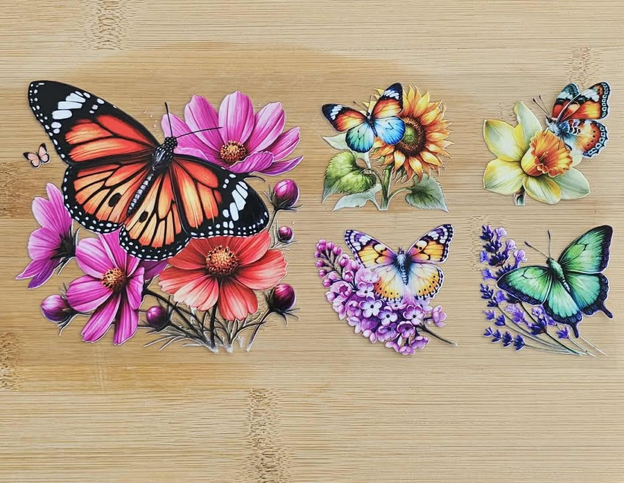 Multi-Colored Butterflies 547