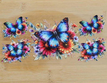 Butterfly 538