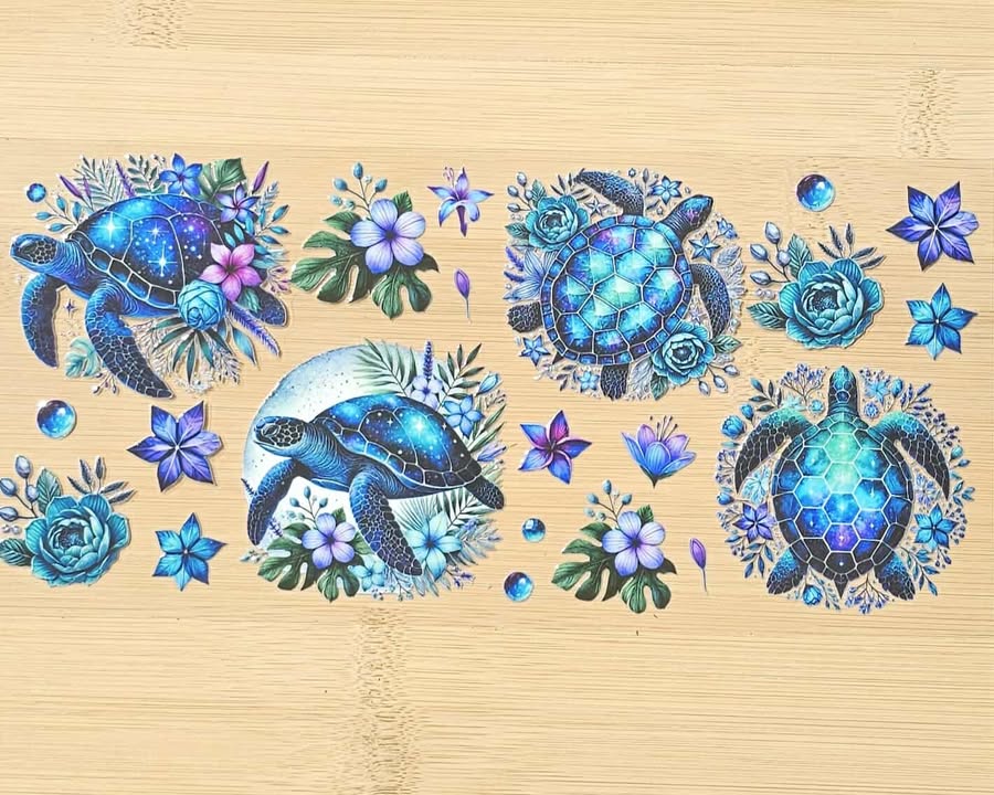 Turtle Everywhere 903