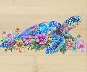 Sea Turtle 893